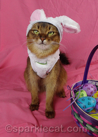It's the EVIL Easter bunny!