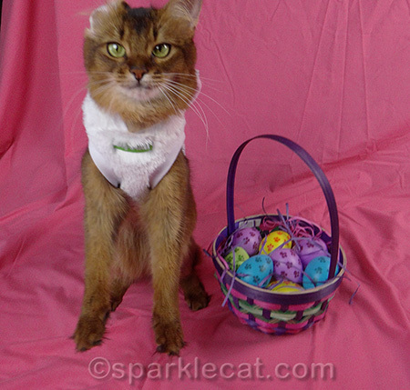You mean Easter bunnies DON'T fly?