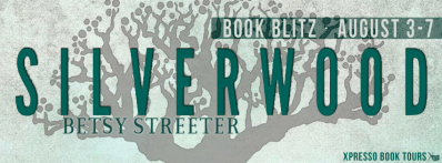 SilverwoodBlitzBanner2