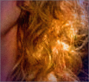 Once_Was_A_Magic_Woman