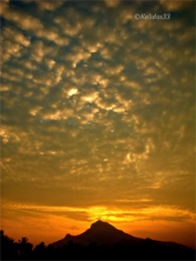 Photo Credit: Bernd Kalidas Flory