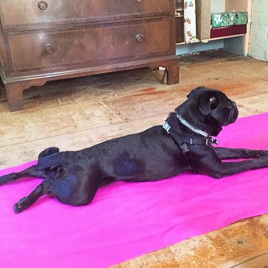 11821284_496030283895717_294047029_n