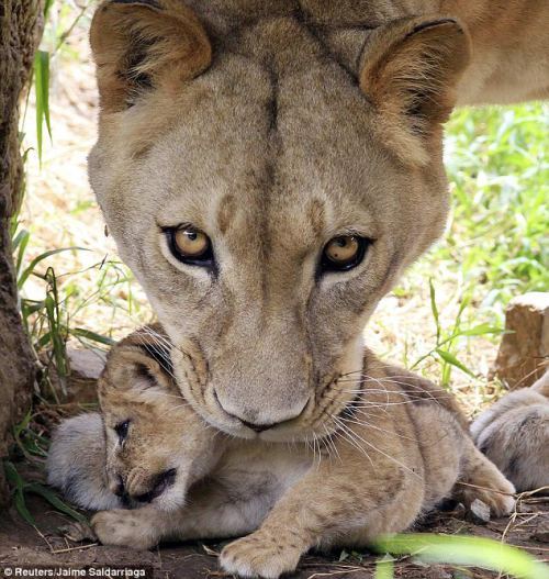image source