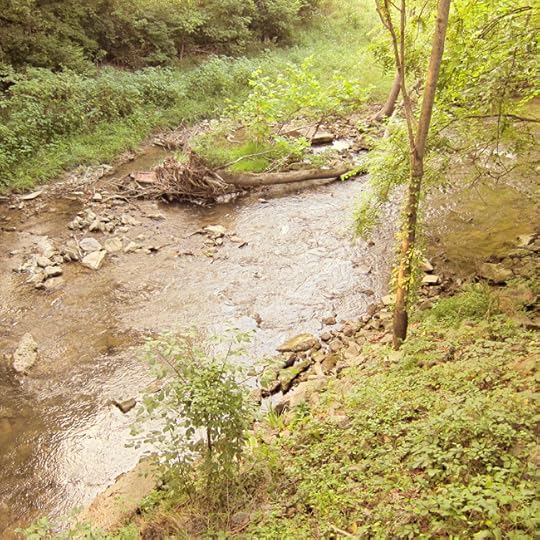 creek web