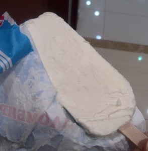 Inner Mongolian Foods - Russian Icecream - Survive Travel.jpg