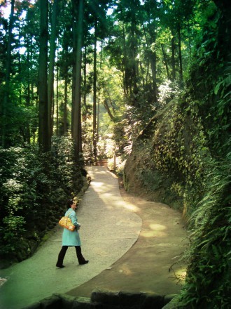 Walking through the forest in Kamakura