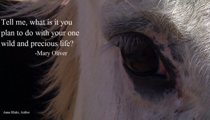 Spirit,Precious life