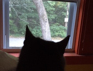 Binti always keeps a close watch on the other world outside.