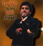 say hello to my little friend photo: Tony M. sayhellotomylittlefriend.jpg