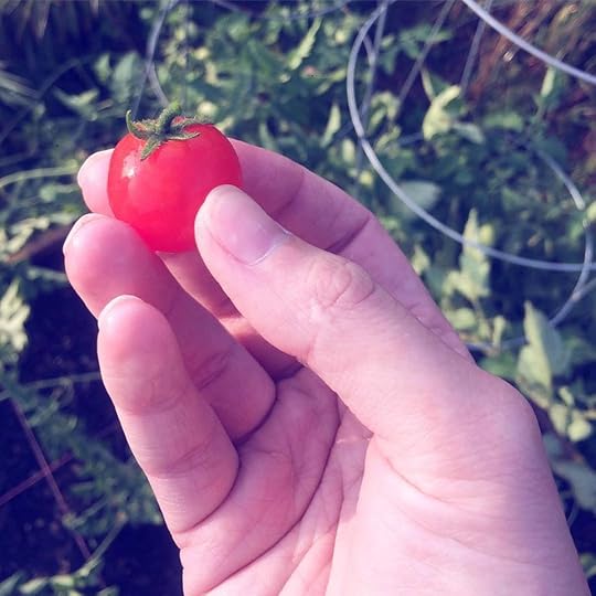 Garden update
