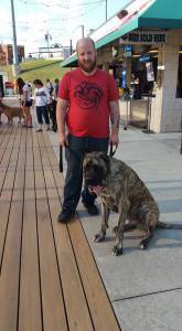 11800071_668032423296254_1283748621606450865_n