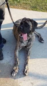 11813474_668032226629607_61287509439290364_n