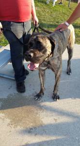 11825021_668032203296276_8631542224970114880_n