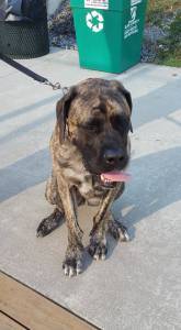 11826073_668032443296252_1729186818700155779_n