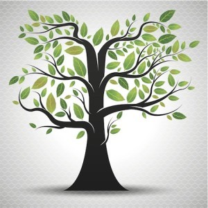 FamilyTree_web