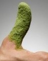 Green Thumb