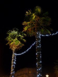 Chris Downer [CC BY-SA 2.0 (http://creativecommons.org/licenses/by-sa/2.0)], via Wikimedia Commons