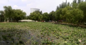 Free Things to do in Hohhot - QingCheng Park, China - Survive Travel