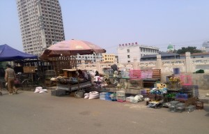 Free Things to Do in Hohhot - Pet Street - China - Survive Travel