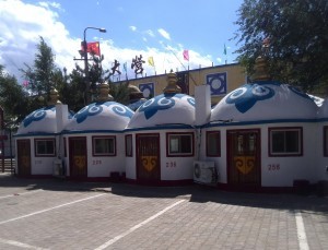 Free Things to Do in Hohhot - Horse Track - China - Survive Travel