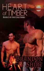 Heart of Timber - Brandon Shire - gay romance