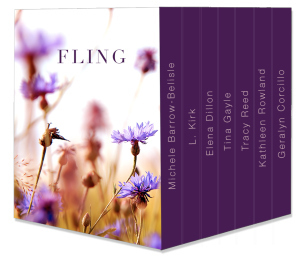 fling_box_set_mockup_v4