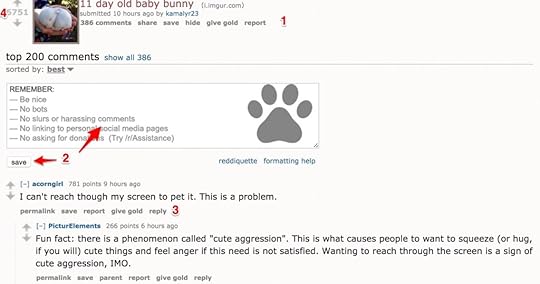 11_day_old_baby_bunny-