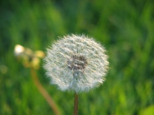 Have a weed. You'll understand at the end.