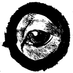 P R O S O C H Ē ~ prosoche.com