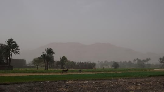 17983133621_4a8536ddca_o