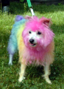 all ready for Cleveland's Gay Pride, circa 2008. 
