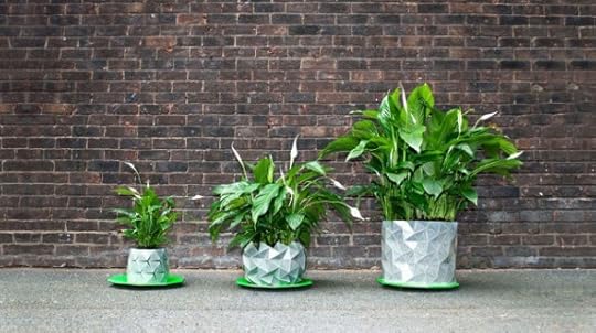 Growth_origami_pot-590x330