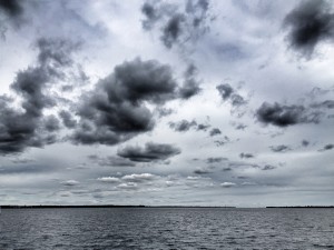 IMG_1501