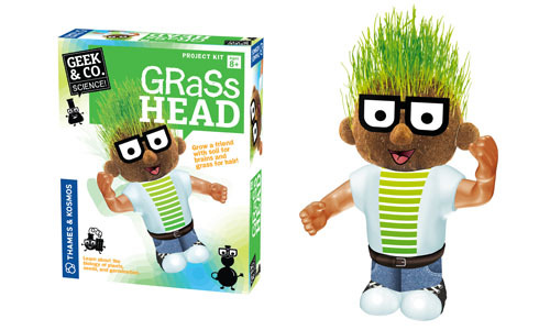 550013_grasshead_pp_full