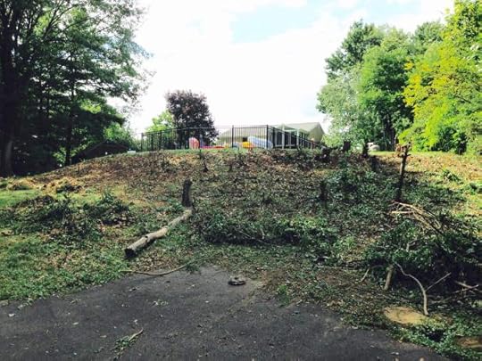 Aftermath of my work