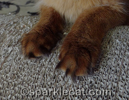 You can't miss those toe hawks!