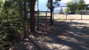 IMG_20150807_084634