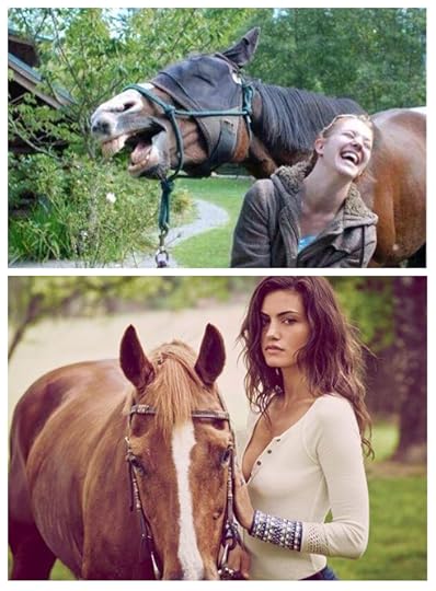 horse_contrast