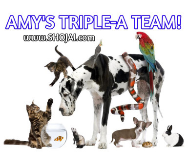 TripleA-Logo