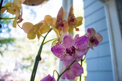 11813296_432035220330922_297935369650938716_n