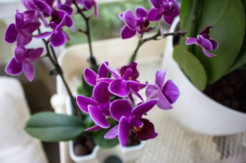 11863402_432035606997550_7254551843363893474_n