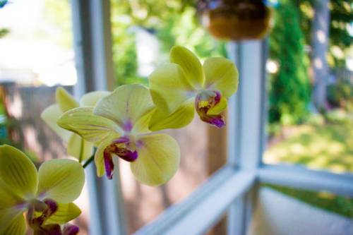 11866503_432035496997561_3900948896143040491_n