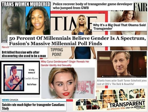Trans collage