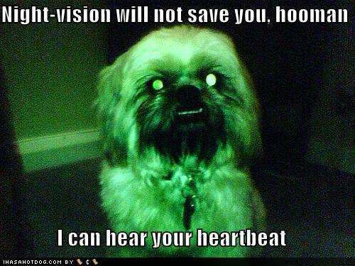 funny-dog-pictures-scary-dog-can-he