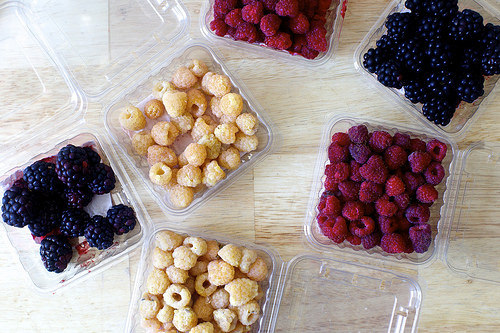 can't stop won't stop buying too much at the greenmarket