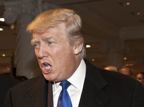 2015-08-09-1439086543-4495054-trump.png