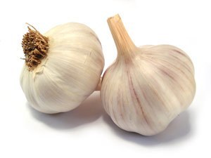 garlic.white