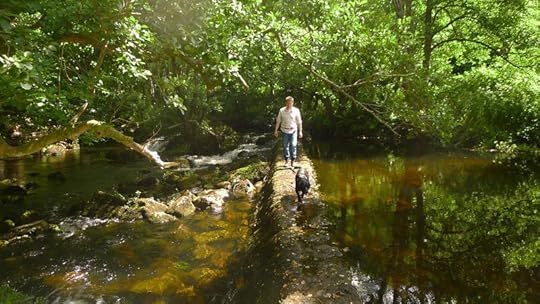 River 2