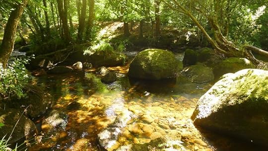 River 3