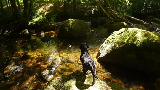 River 4
